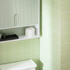 Armário de parede para casa de banho SoBuy BZR140-GR verde 60 x 15 x 54 cm