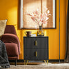 SoBuy FBT115-SCH Mesita de Noche con 2 Cajones Negro 40x40x47cm