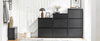 SoBuy FSR165-SCH Sapateira com 2 abas e 1 gaveta preta 61 x 26 x 101 cm