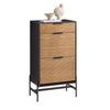 SoBuy HFSR03-SCH Sapateira com 2 abas e 1 gaveta preta 64 x 40 x 115 cm