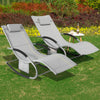 SoBuy OGS28-HGx2 Tumbonas X2 con Almohada y Bolsillo Lateral