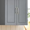 SoBuy FRG231-DG Mueble de Pared Armario suspendido con 2 Puertas Gris